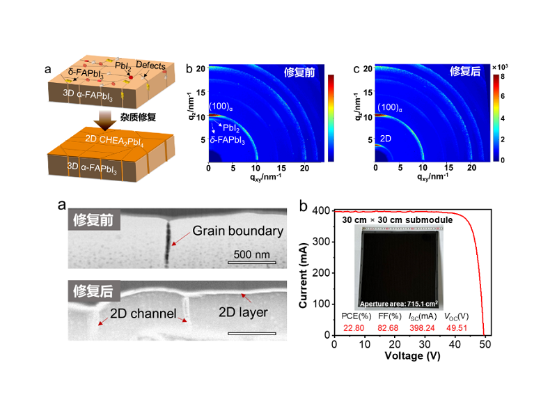 上海交大赵一新教授团队Nature发文：钙钛矿模组的杂质修复界面工程